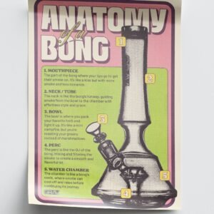 GRAV® Anatomy of a Bong Poster, 16 x 24"
